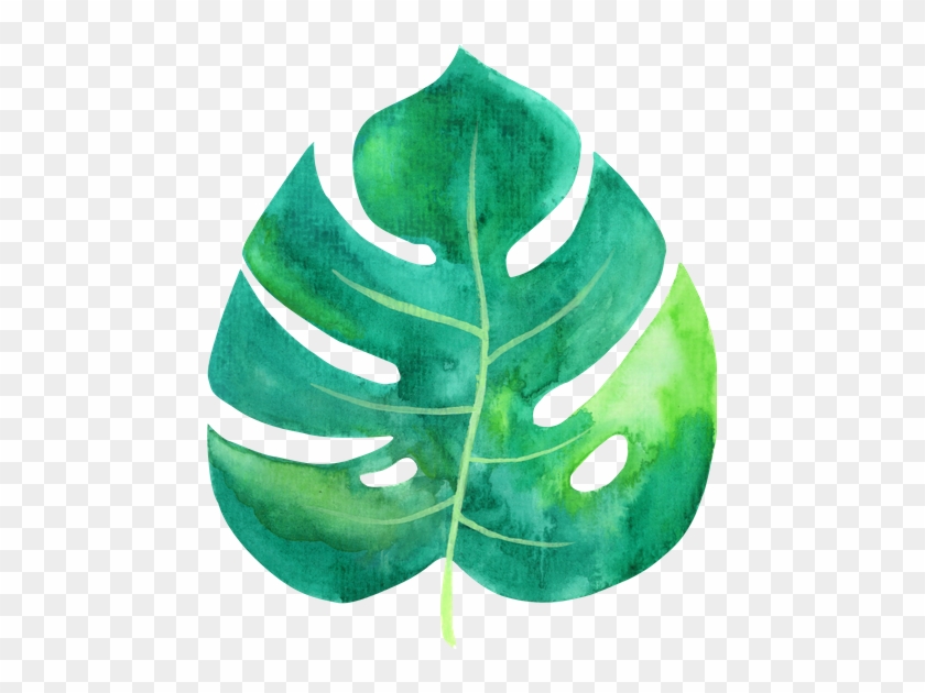 Tropical Leaf Watercolor - Tropic Tropical Leaf Png #397150