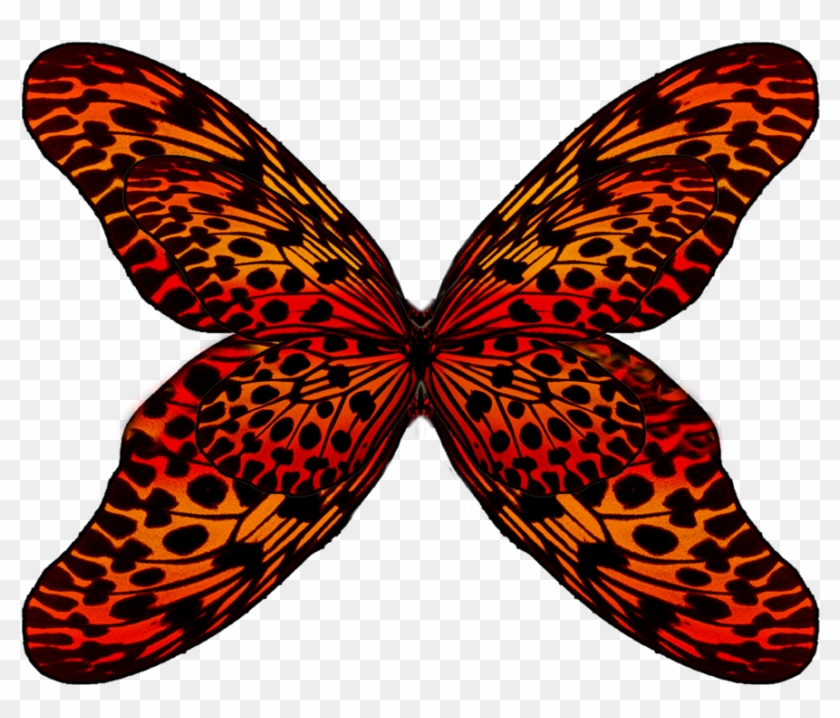 Wings Png By Moonglowlilly Wings Png By Moonglowlilly - Red Butterfly Wings Png #397199