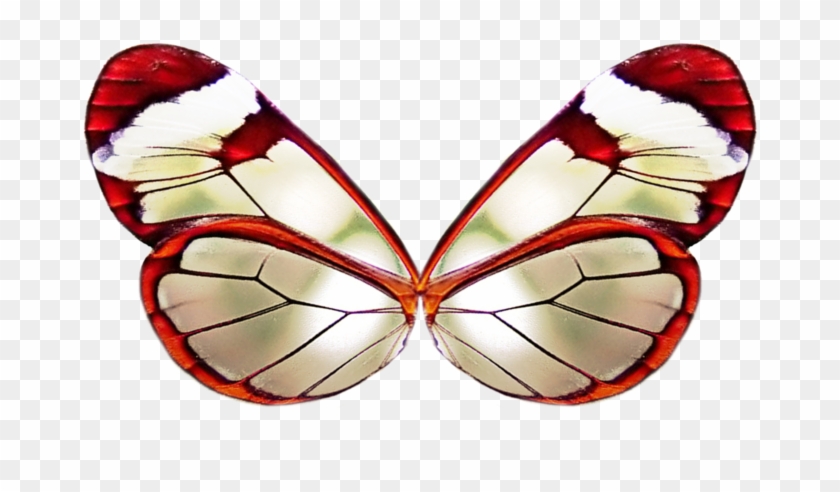 Png Wing 3 By Moonglowlilly - Red Butterfly Wings Png #397207