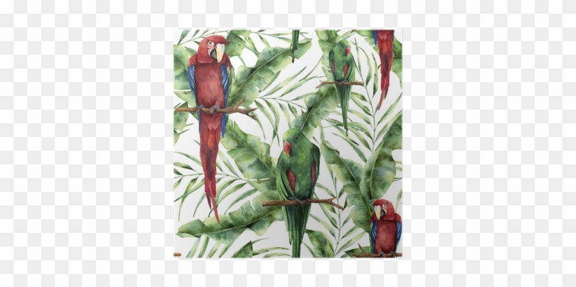 Watercolor Seamless Pattern With Parrots, Banana Palm - Hand Painted Parrot #397230
