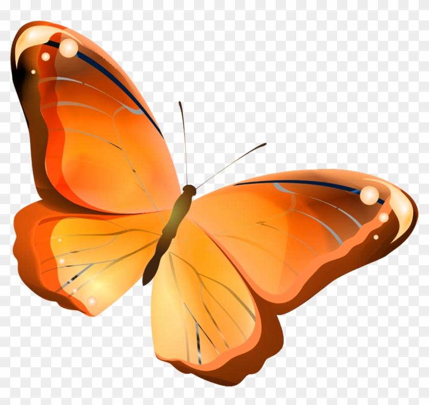 Butterfly Orange Insect Drawing - Butterfly Orange Insect Drawing #397314