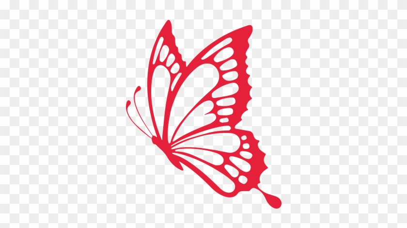 Services - Butterfly #397263