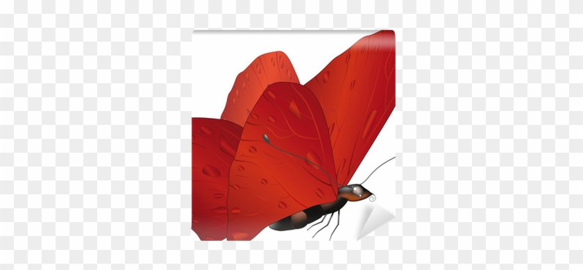 Vector Graphics #397269