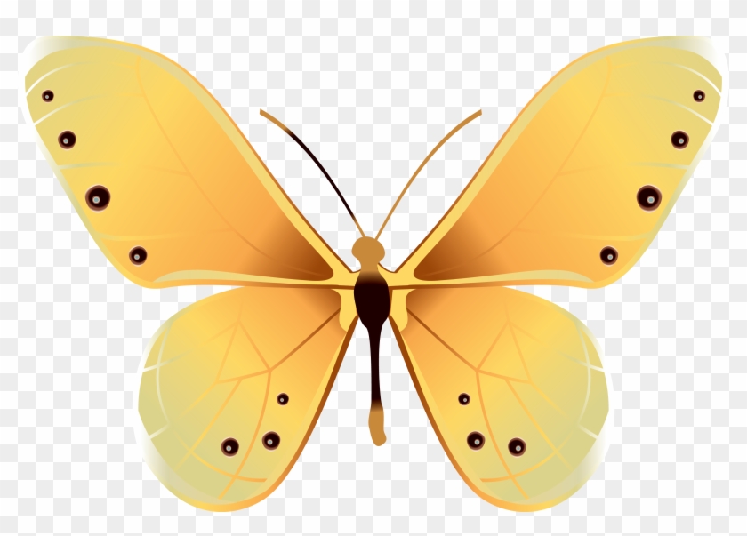 Batterfly 3670*2461 Transprent Png Free Download - Batterfly 3670*2461 Transprent Png Free Download #397407