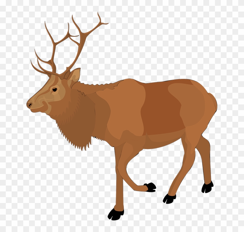 Free Moose Clipart - Moose Clipart Png #397331
