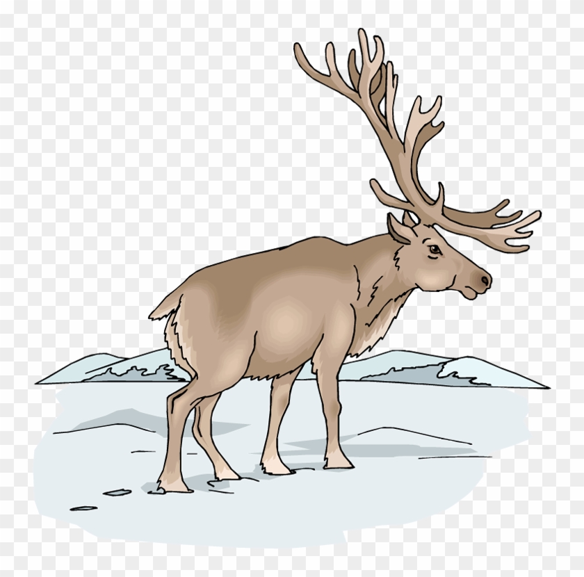 Free Moose Clipart - Animale Din Taigaua Siberiana #397351