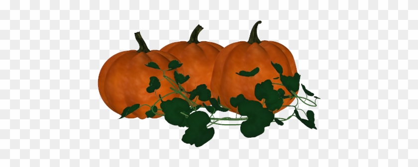 Pumpkin Clipart Pumpkin Vine - Pumpkin Vine Png #397388