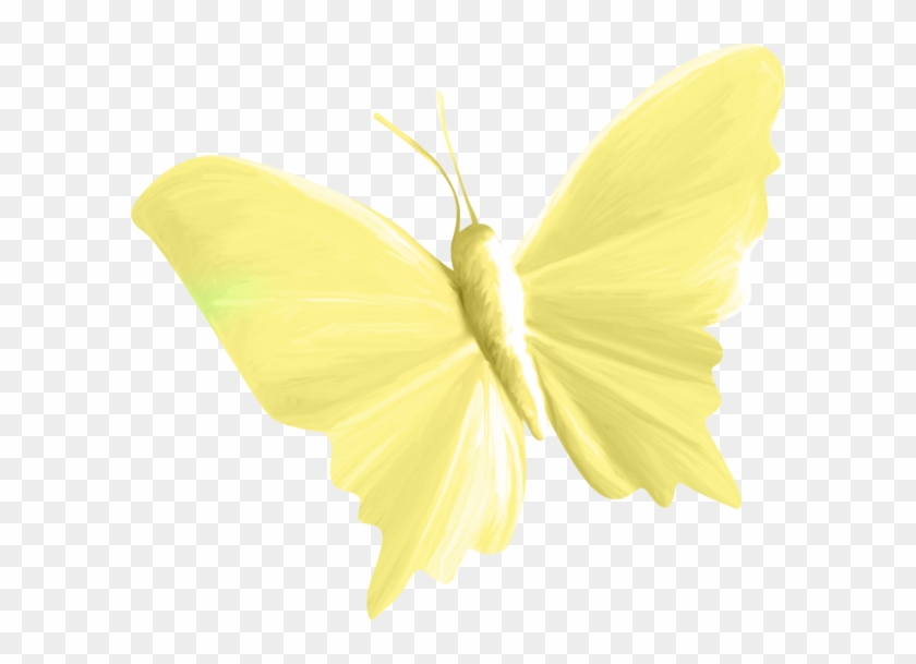 Butterfly Green Yellow - Butterfly Green Yellow #397414