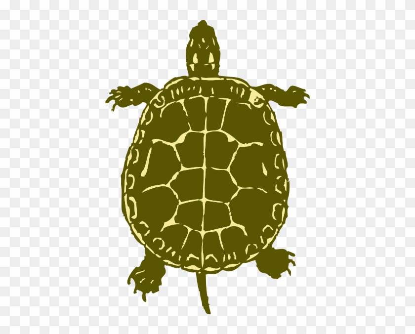 Turtle Clipart - Turtle Bird Eye View #397598