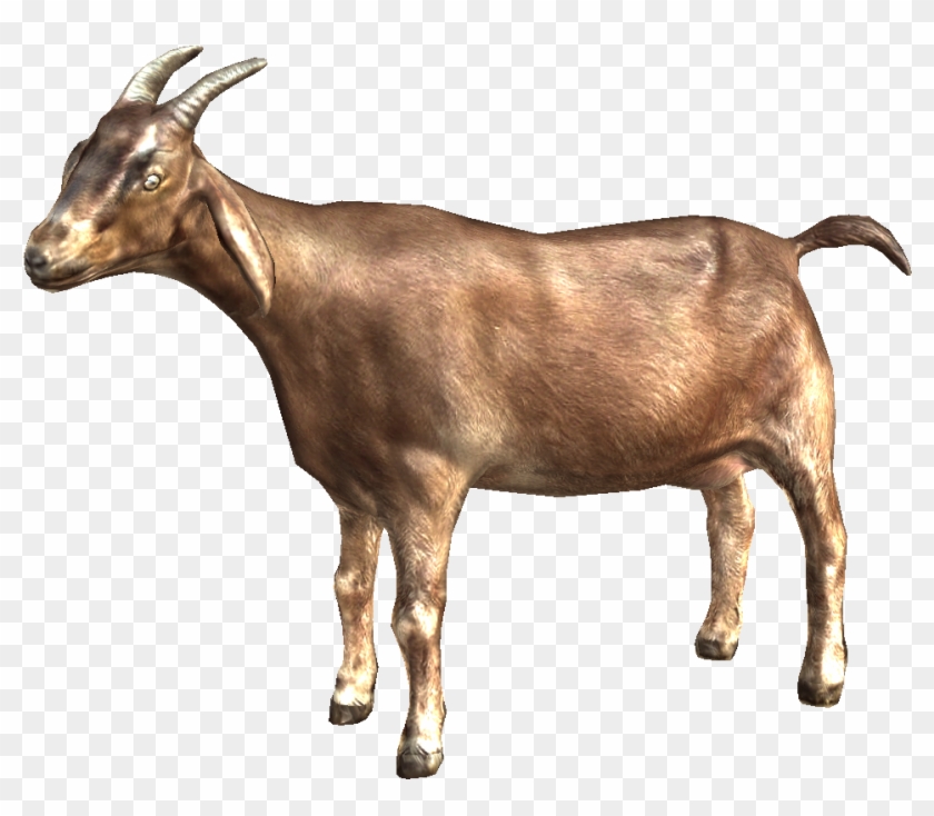 Goat Animated Gif Transparent #397606