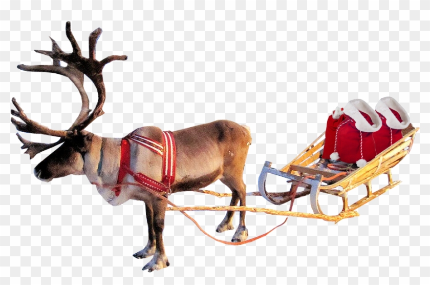 15 Christmas Clipart No Background - Reindeer Transparent Background #397615