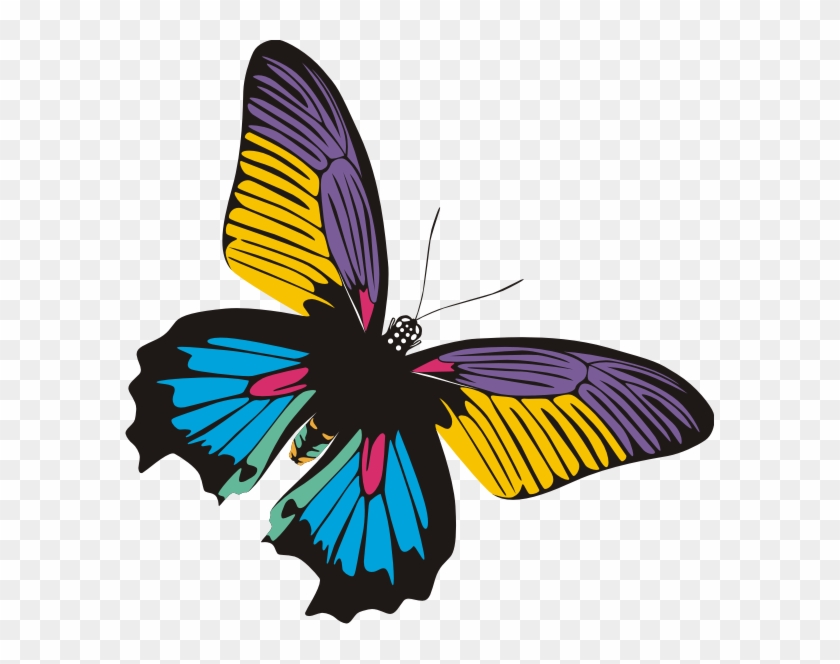 Kupu Kupu Adalah Haiwan Yang Sangat Indah Dan Menarik, - Butterflies #397776