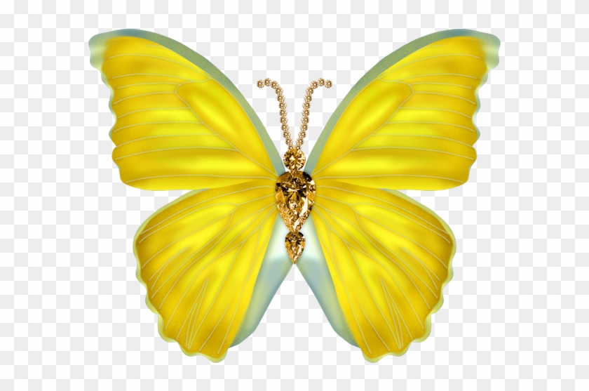 Image Du Blog Zezete2 - Butterfly #397785