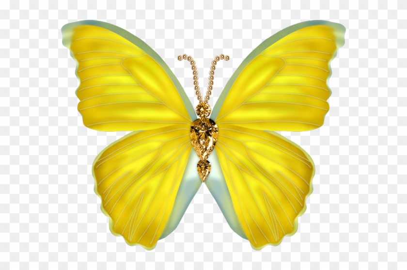 Image Du Blog Zezete2 - Butterfly #397785
