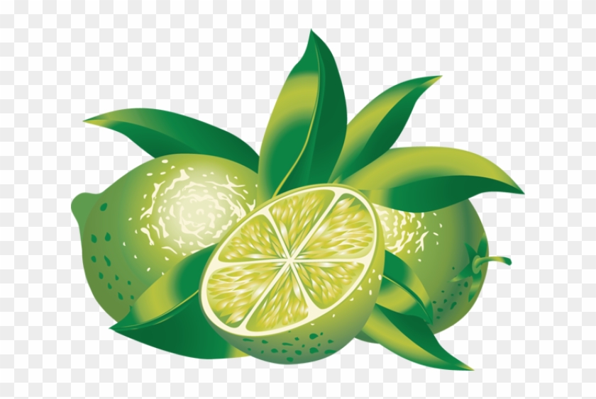 Citrus Clipart Healthy Fruit - Limes Clipart #397822