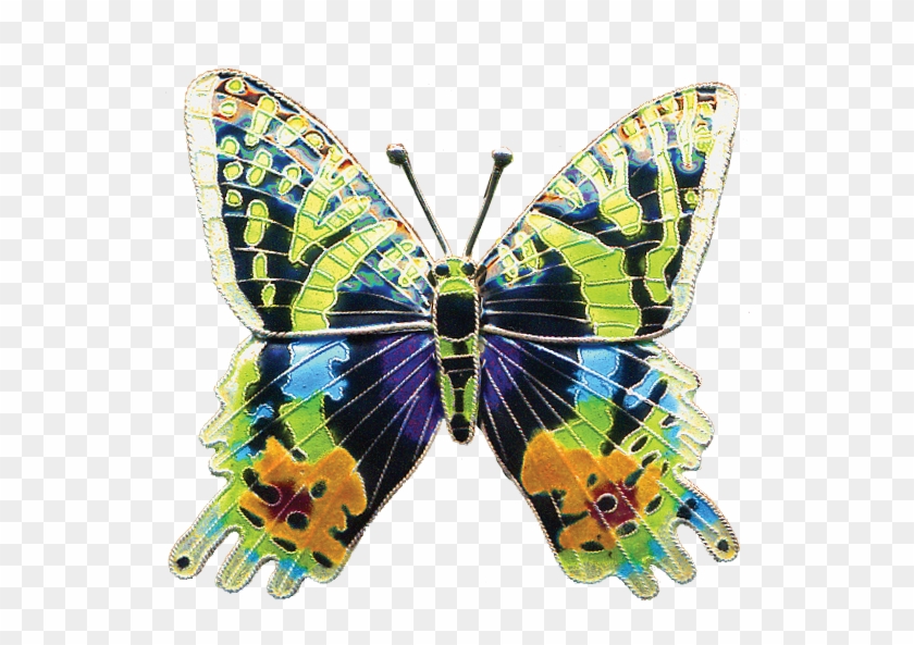 Butterflies & Moths - Butterflies & Moths #397888