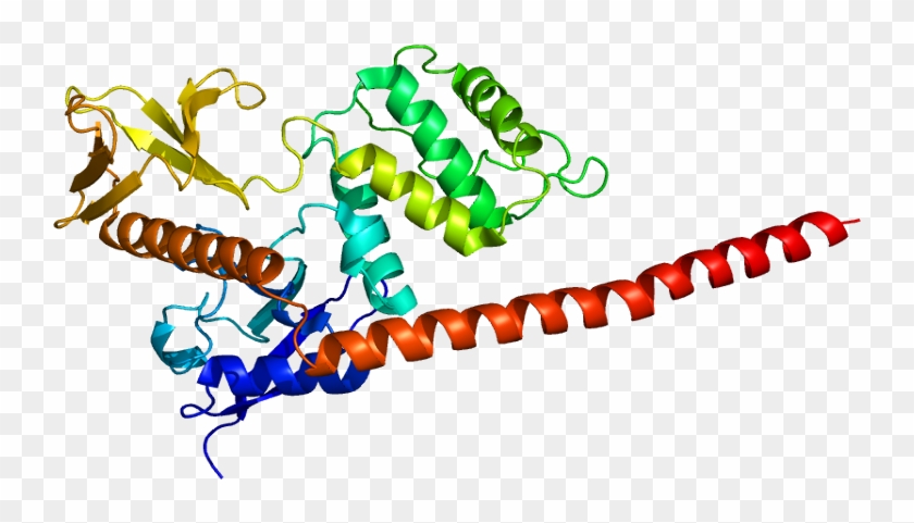 Moesin Protein #398035