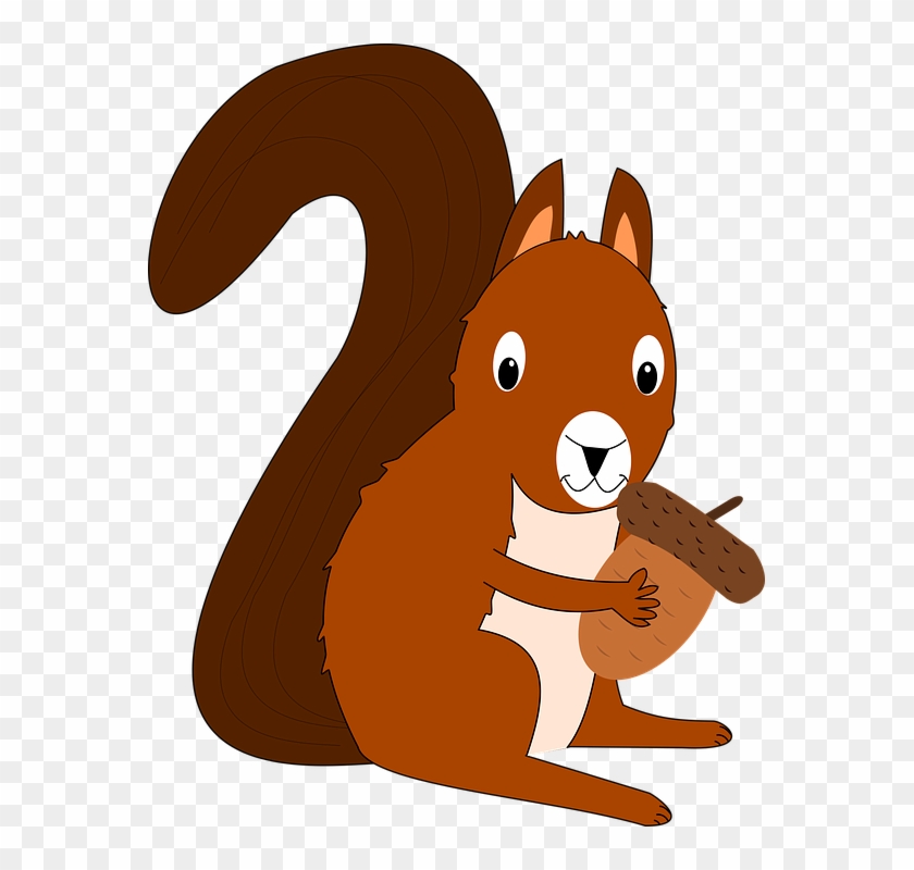 Squirrel Cliparts 8, Buy Clip Art - กระรอก การ์ตูน Png #398429