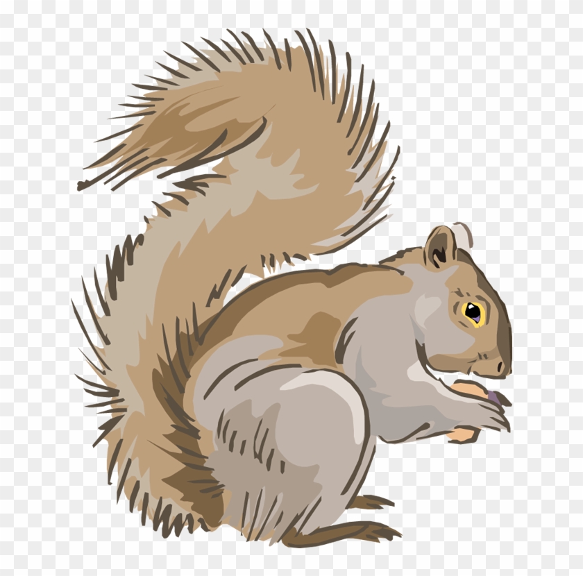 Squirrel Clipart - Gray Squirrel Clip Art #398433