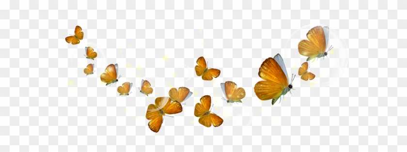 Clipart Butterflies - Portable Network Graphics #398487