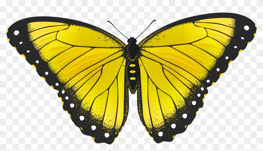 Yellow Butterfly Transparent Png Clip Art Image Png - Yellow Monarch Butterfly Png #398516