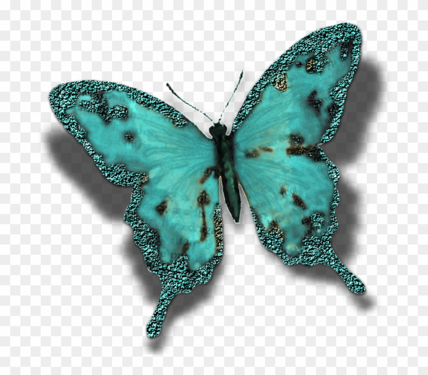 Butterfly Insect Turquoise Moth Pollinator - Butterfly Insect Turquoise Moth Pollinator #398565