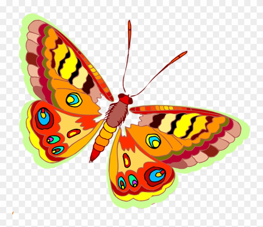 Butterfly - Portable Network Graphics #398537