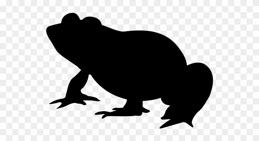 View All Images-1 - Frog Silhouette #398725