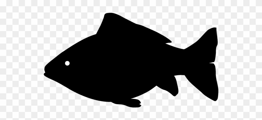 View All Images-1 - Silhouette Fish Outline #398729