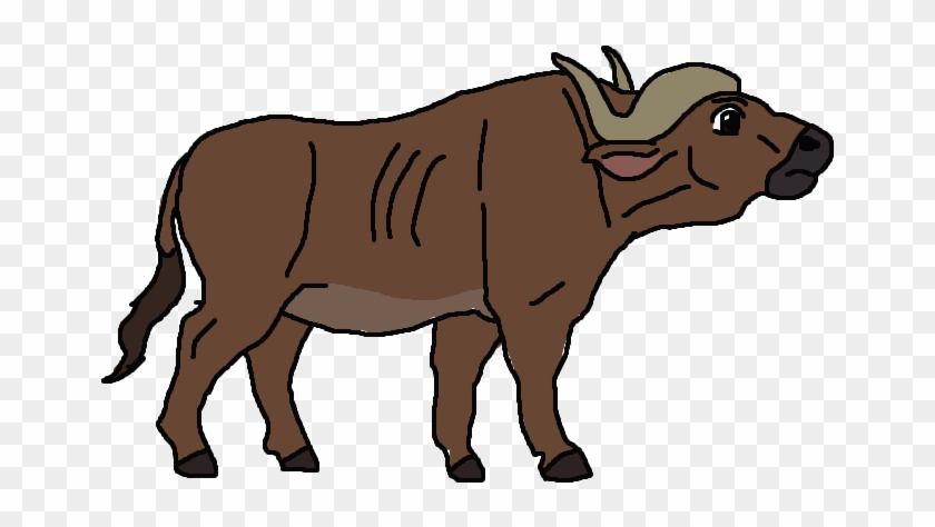 Andrewshilohjeffery 8 1 Cape Buffalo Character Drawing - Buffalo Drawing #398764