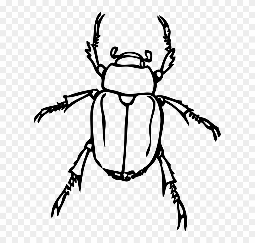 Clip Arts Related To - Beetle Black And White #398769