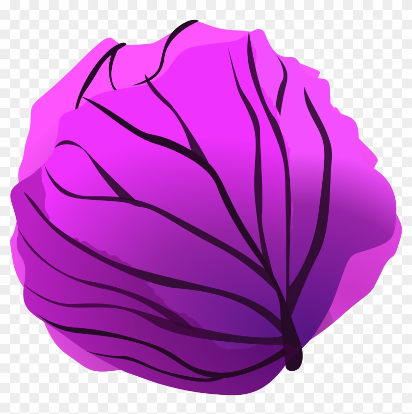 Red Cabbage Savoy Cabbage Cauliflower Clip Art - Red Cabbage Savoy Cabbage Cauliflower Clip Art #398786