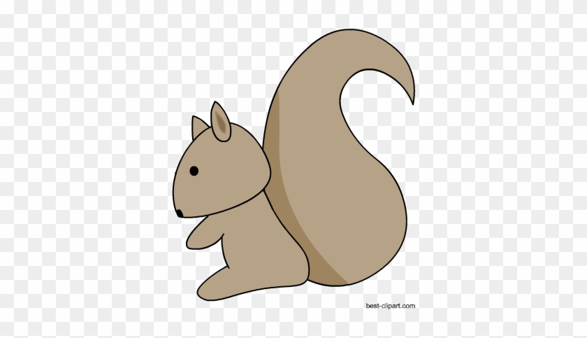 Free Cute Squirrel Woodland Animal Clip Art - Woodland #398784