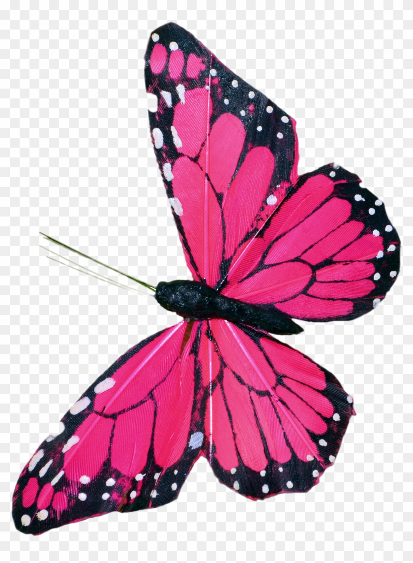 Elegant Psd Cartoon Butterfly Blue Diamond Images Purple - Psd #398811