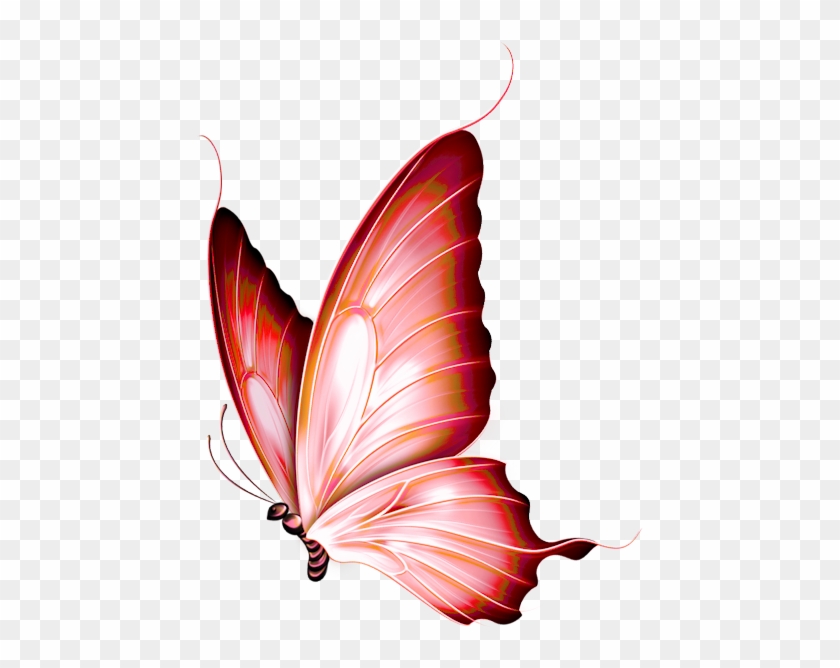 Dieren Painting - Gold Butterfly Png #398899