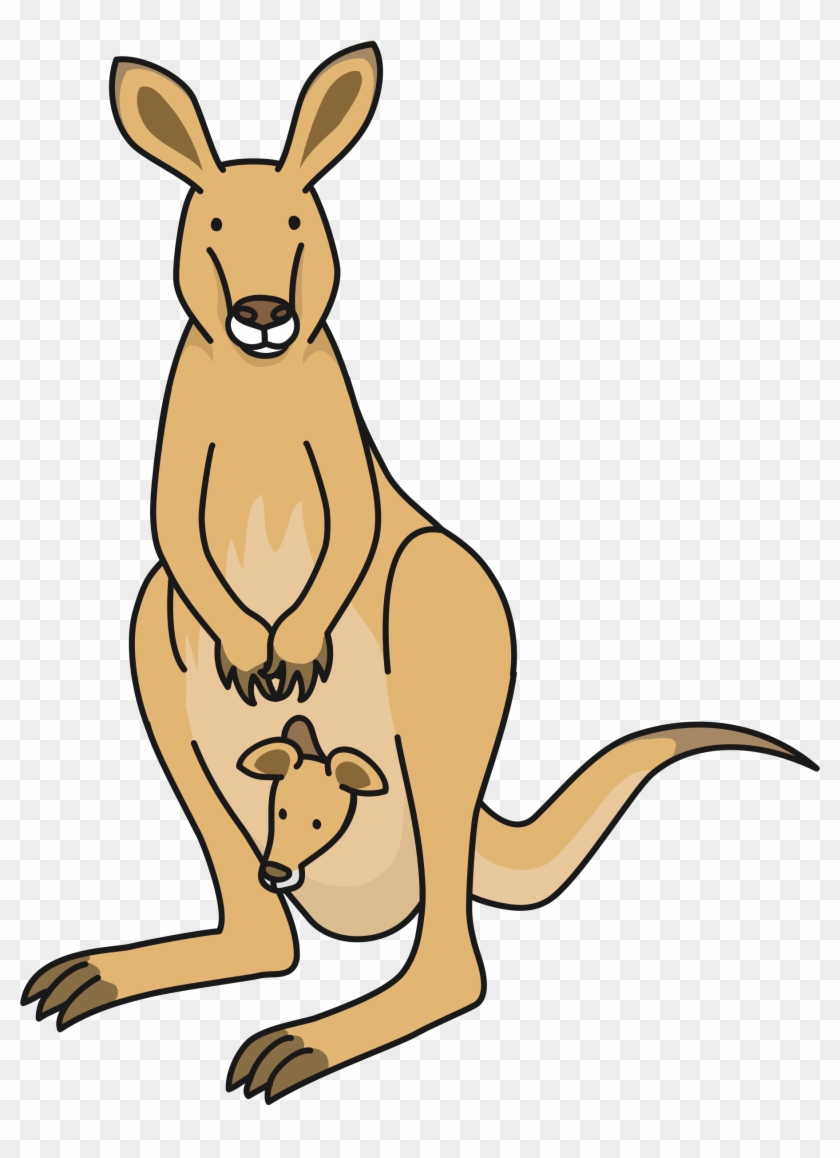 Kangaroo - Clip Art Kangaroo #398923