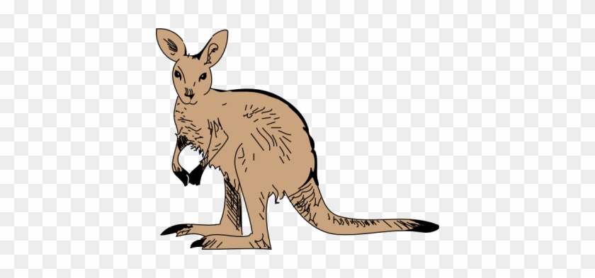 Standing Kangaroo Clip Art At Vector Clip Art - Animated Kangaroo Png #398924
