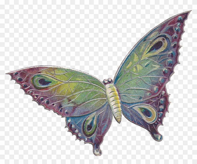 Explore Purple Butterfly, Butterfly Kisses, And More - Vintage Butterfly Clip Art #398942