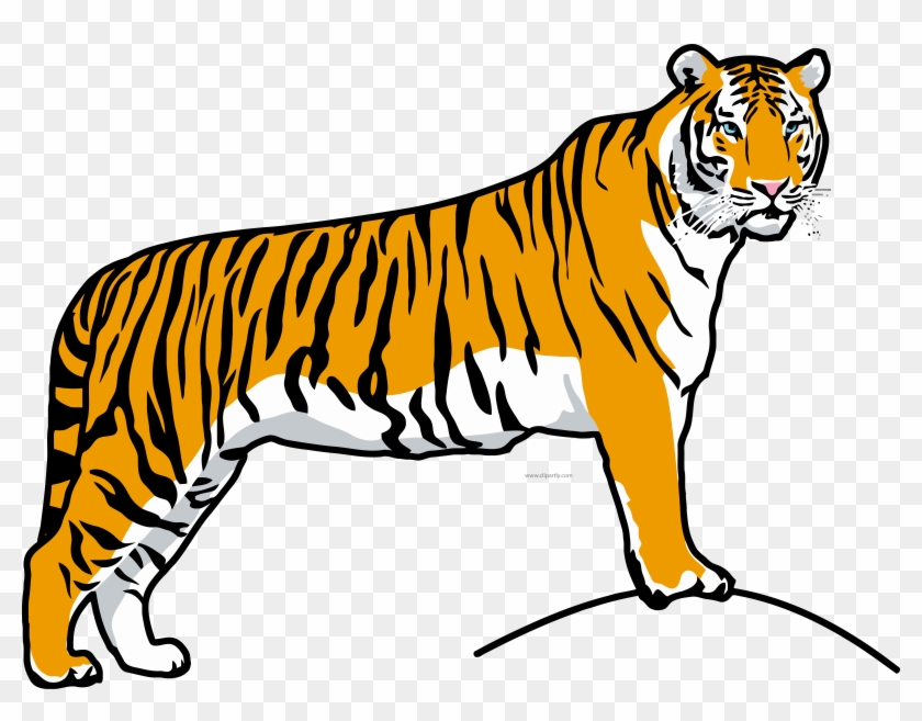 Story Contest 2017 - South China Tiger Clipart #398965
