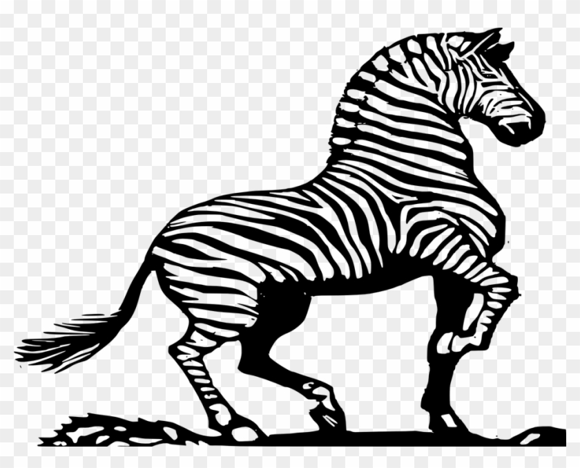 Zoo 20clipart - Zebra Black And White #398967