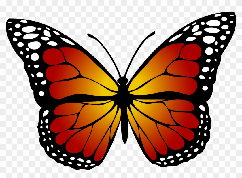 Monarch Butterfly - Kupu Kupu Hitam Putih #399006