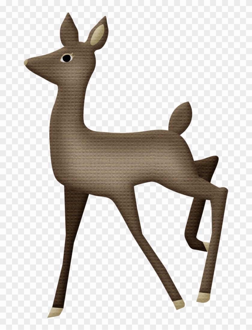 Safari & Zoo - Roe Deer #399021