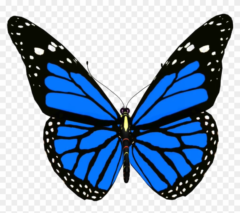 Blue Butterfly Png Pic - Animated Picture Of Butterfly #399064
