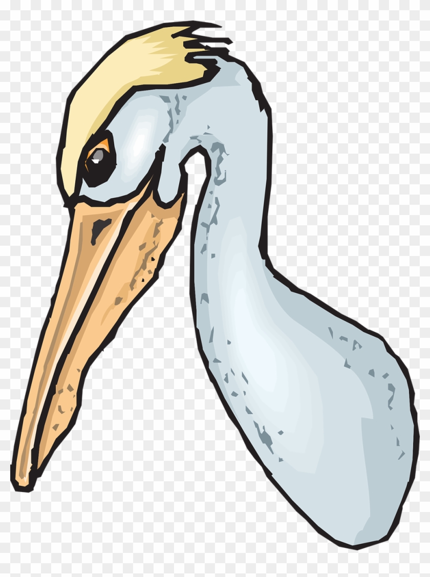 Head Clipart Pelican - Pouch Like Beak Clipart #399066