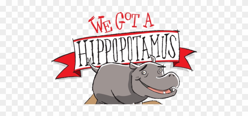 Okc Zoo Welcomes New Hippopotamus Just In Time For - Hippopotamus #399079