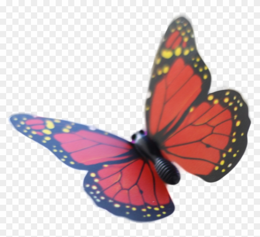 Butterfly Png By Dizapher - Butterfly #399091