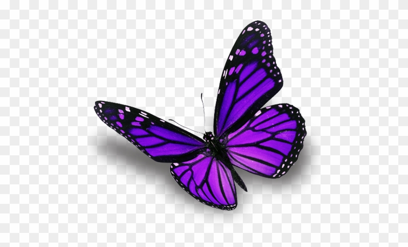 Carolyn Tjoland, Lpcc, Llc Provides A Variety Of Therapy - Impossible To Ignore: Creating Memorable Content To #399095