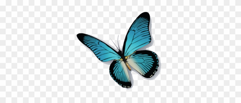 Blue Butterfly Png - Butterfly #399121