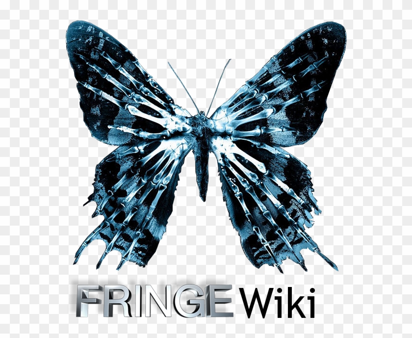 Tenetkefringelogo600x675 - Logo Fringe Png #399194