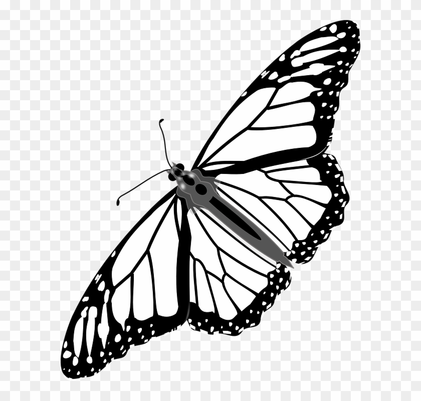 Cartoon Monarch Butterfly 25, Buy Clip Art - Monarch Butterfly Tattoo Vector #399151